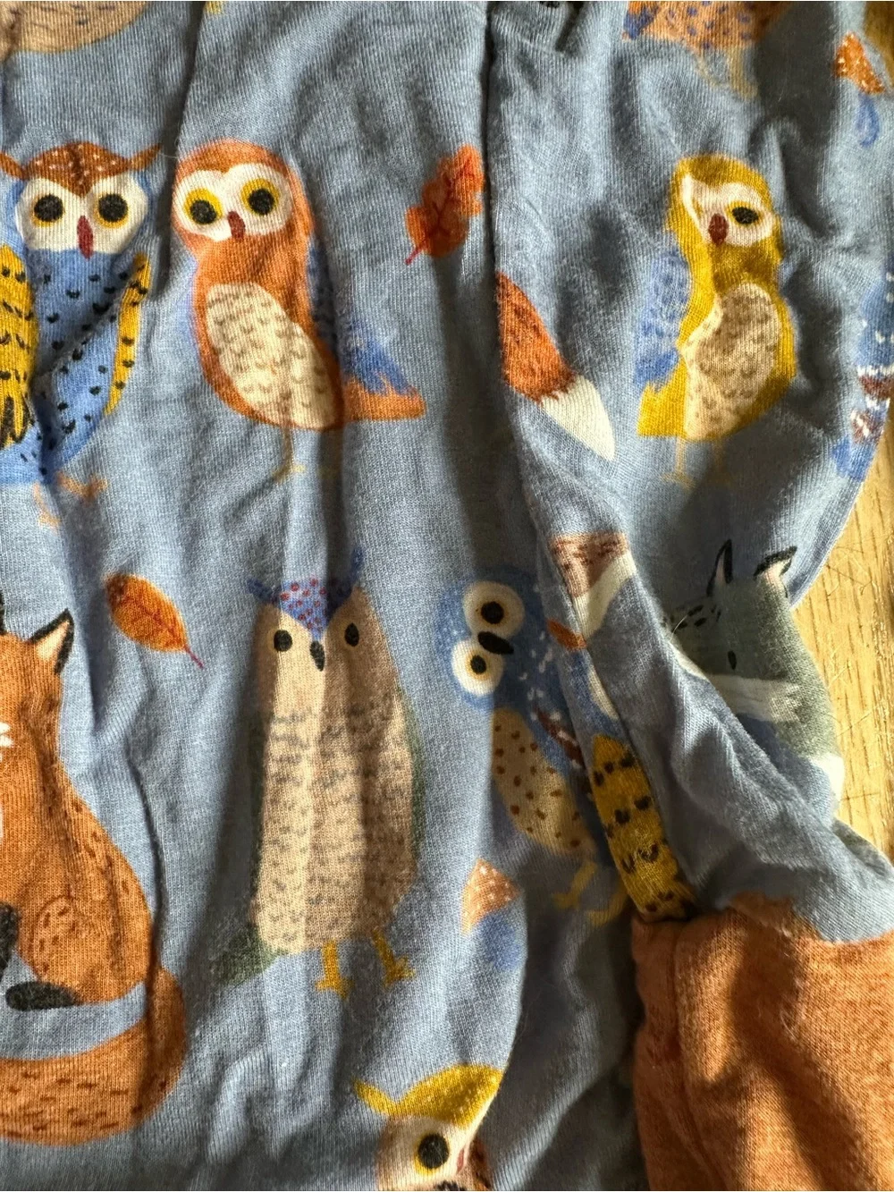 Little Sleepies Woodland Animal Friends Blue 2T Long Sleeve Pants Pajamas
